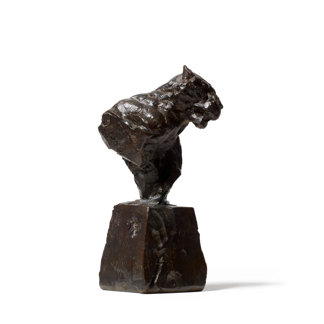 Fighting Leopard Bust II S411